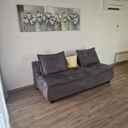 Family Apartment Моравске-Топлице Экстерьер фото